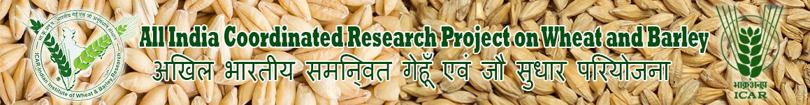 All India Coordinated Research Project on Wheat and Barley (AICRP)
